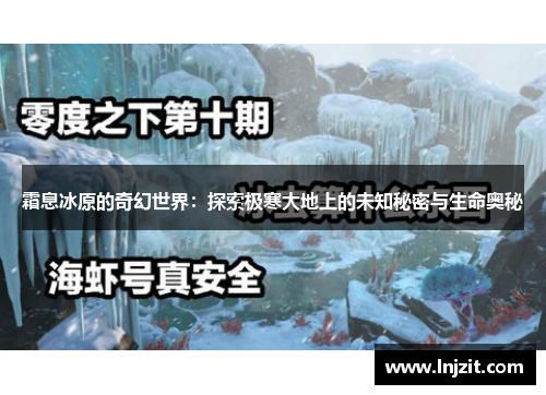 霜息冰原的奇幻世界：探索极寒大地上的未知秘密与生命奥秘