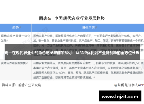 鸡一在现代农业中的角色与发展前景探讨：从品种优化到产业链创新的全方位分析